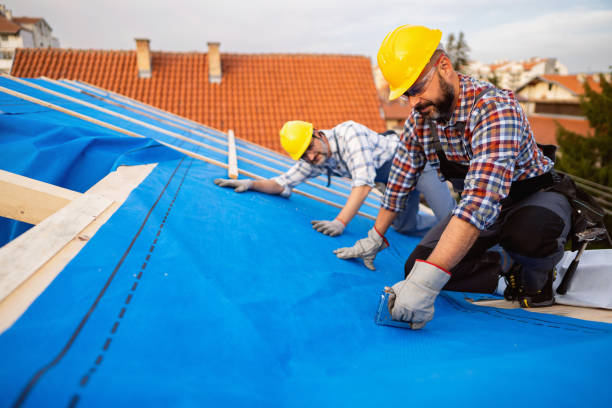 Best Flat Roof Repair Services  in Gilbert, MN